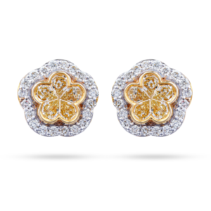EAR RINGS SKU91221